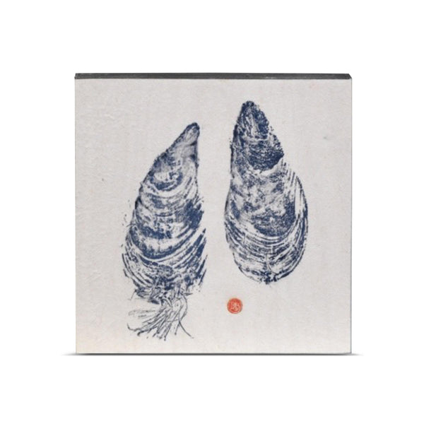 Pair of Mussel Shells