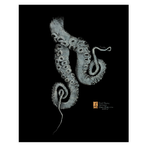 Twin Giant Pacific Octopus Legs