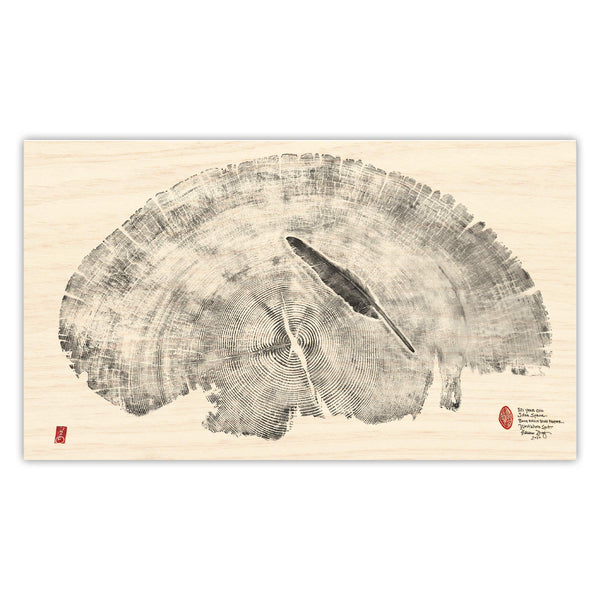 321 Year Old Sitka Spruce and Eagle Feather