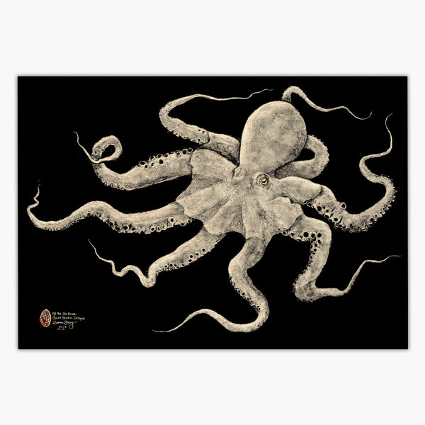 On the Sea Floor