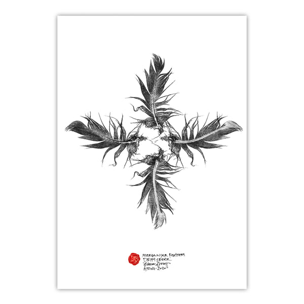 Drift Creek Crested Merganser feathers - Original
