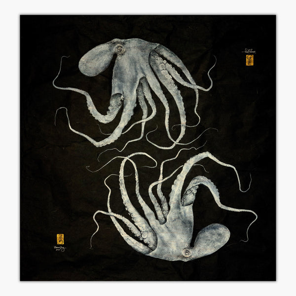 Mirror Octopus
