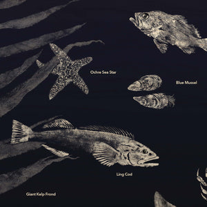 Sea Creatures of the PNW