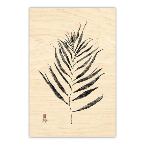 Giant Kelp Frond
