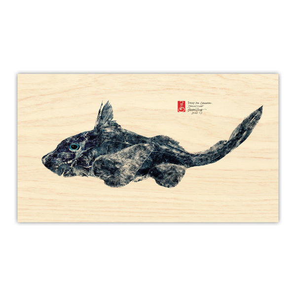 Chimaera or Spotted Ratfish