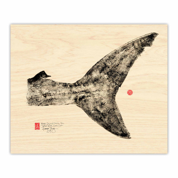 Salmon Shark Dorsal Tail