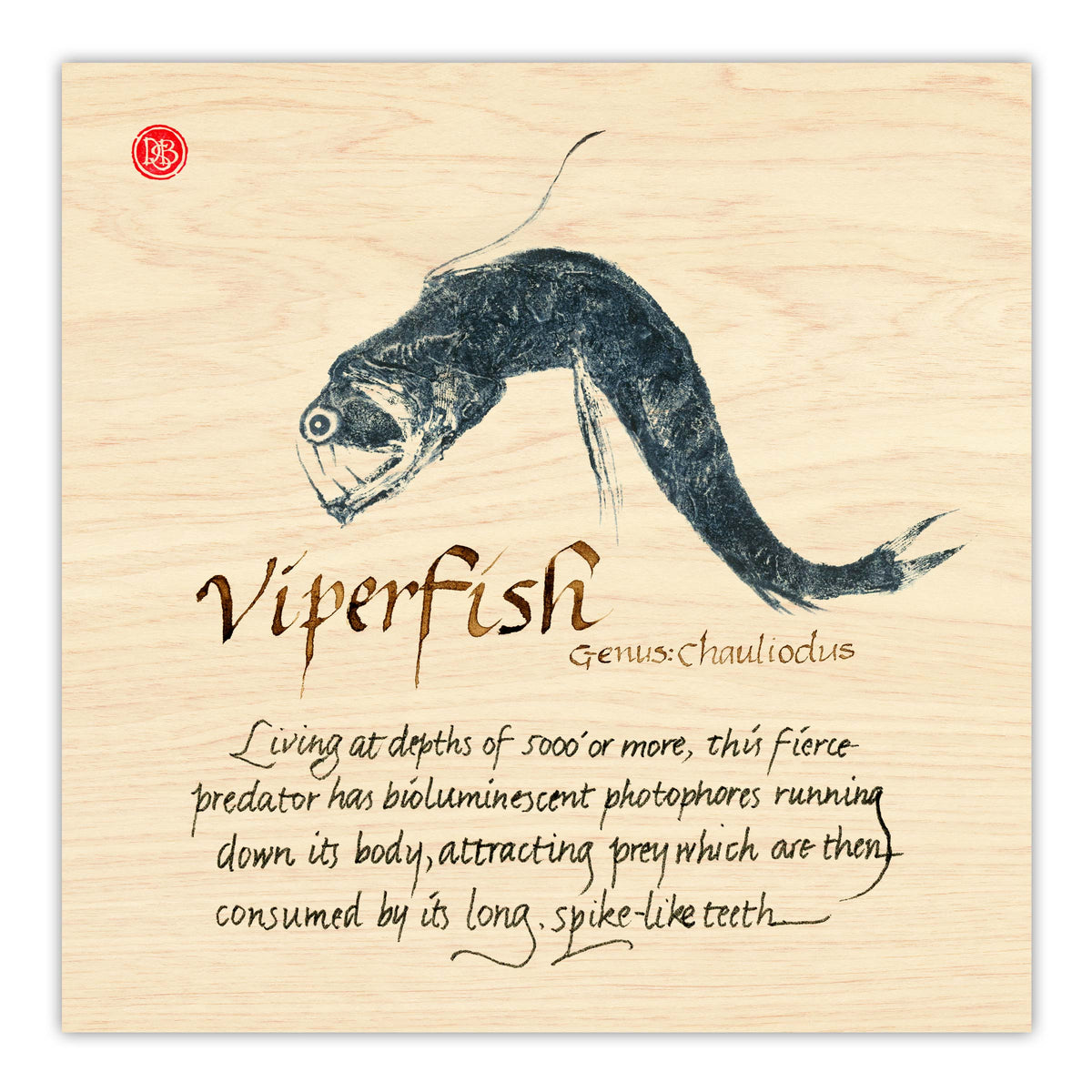viperfish picture