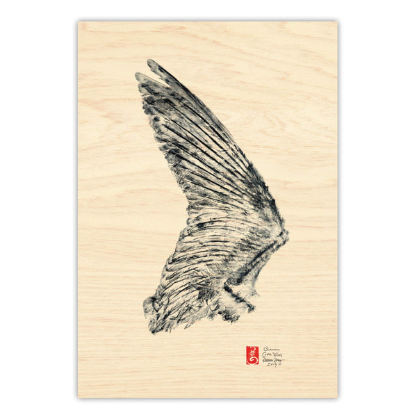 Glaucous Gull Wing