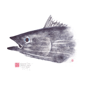 Pacific Albacore Tuna at 50 MPH - Original
