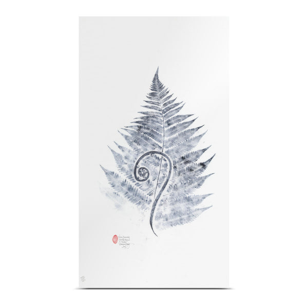 New Zealand / Aotearoa Silver Fern