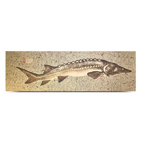 White Sturgeon - Sepia