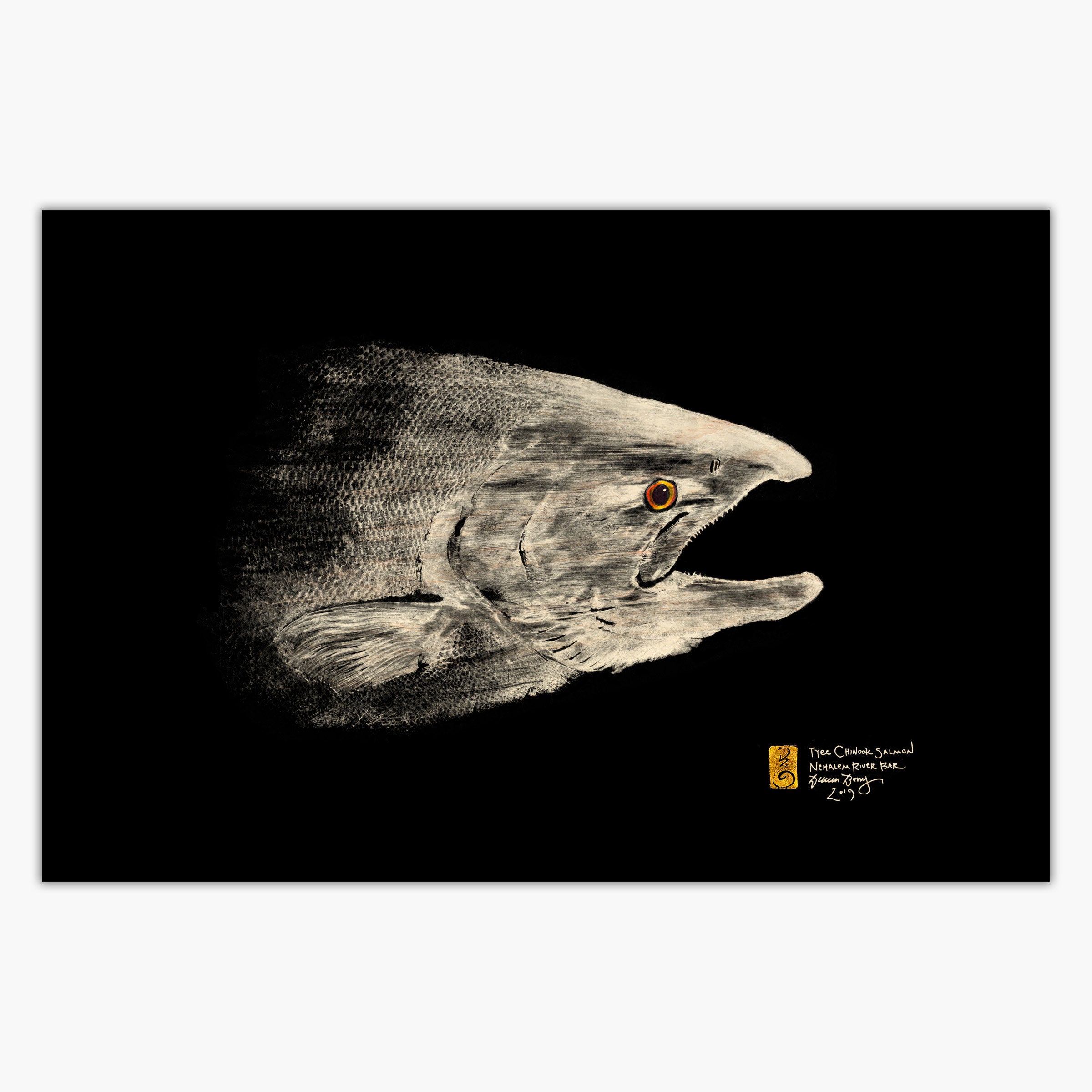 Chinook Tyee Salmon Head