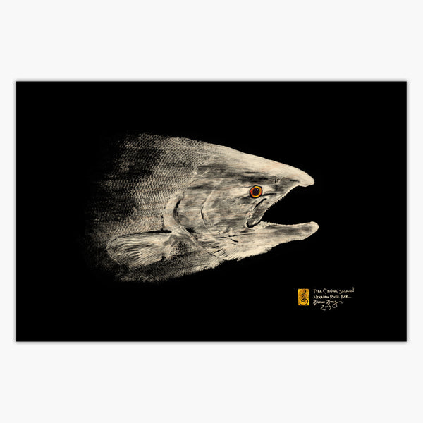 Chinook Tyee Salmon Head