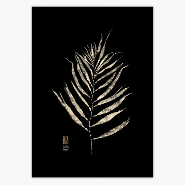 Giant Kelp Frond