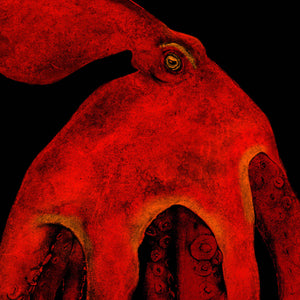 Fiery Octopus