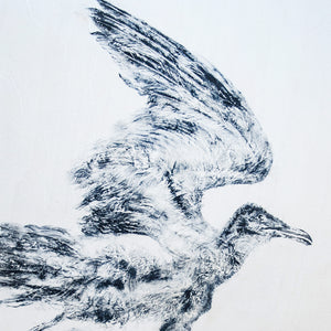 Herring Gull On The Wing - Original