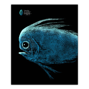 Deep Sea Mane Fish