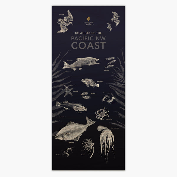 Sea Creatures of the PNW