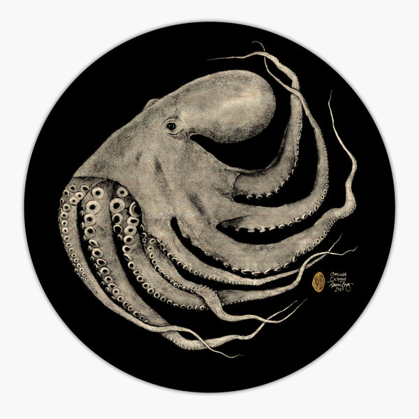 Circling Octopus