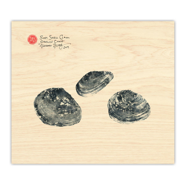 Three Clams - Mya arenaria