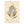 Giant Kelp Frond