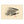 Chinook Salmon Head