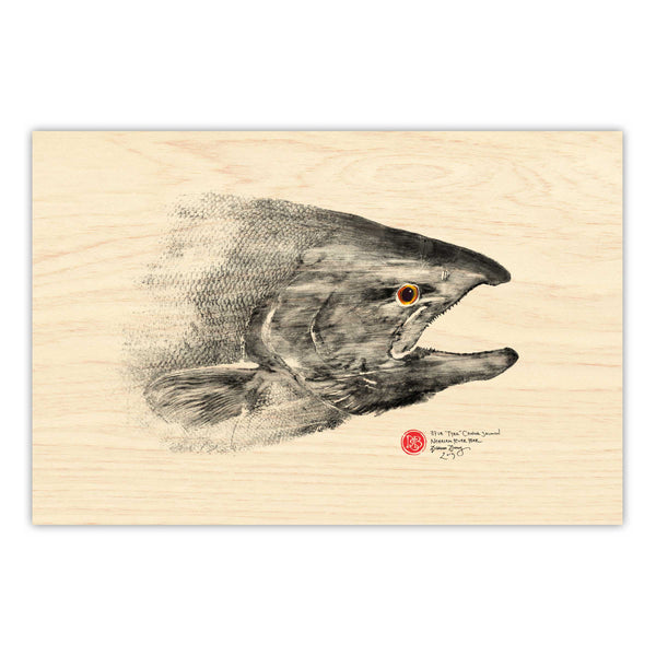 Chinook Salmon Head