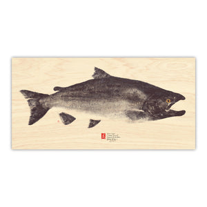 Tyee Chinook Salmon