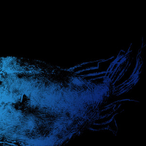 Deep-Sea Triple Wart Devilfish