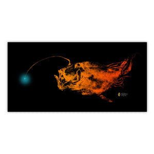 Deep-Sea Triple Wart Devilfish