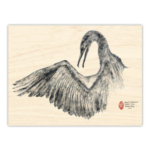 Brandt’s Cormorant Wing Outstretched