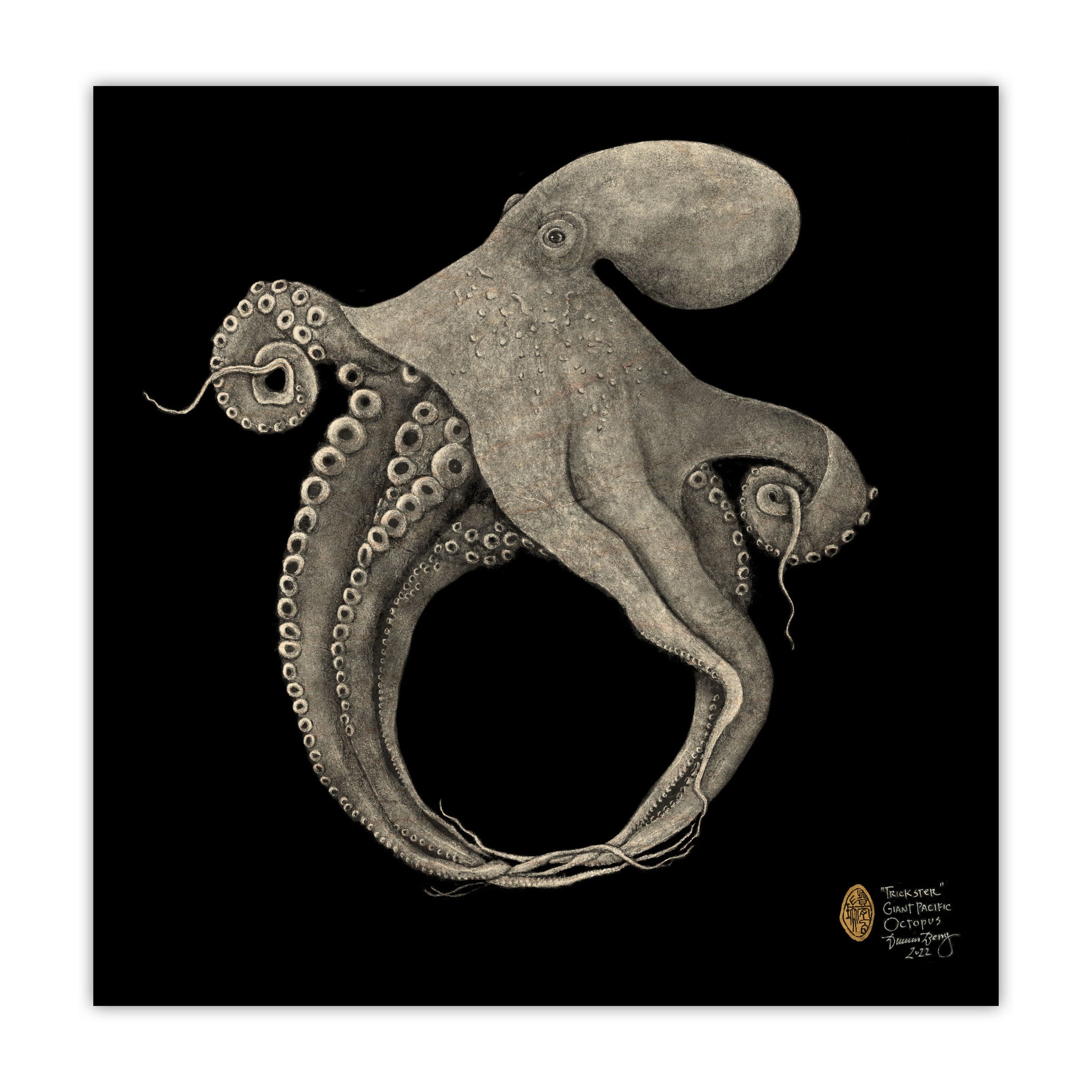 devil fish octopus