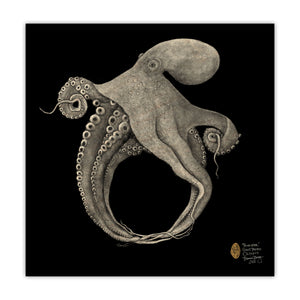 "Trickster" Giant pacific Octopus